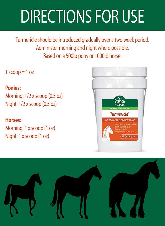Stance Natural Turmeric Powder for Horses with Powdered Coconut Oil Equitec Turmericle Anti-Inflamatory Horse Supplement for Healthy Hip & Joint Function - Normal Skin Health (5) - Image 4